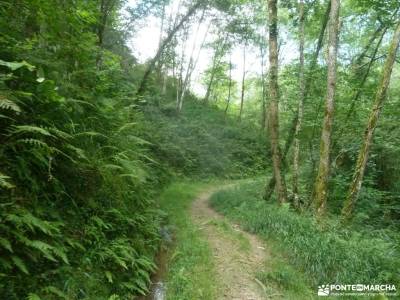 Parque Natural Pagoeta_Valle Leitzaran;cordilleras béticas la pedriza la charca verde vacaciones pu